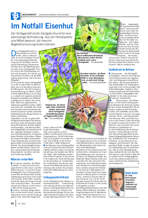 GESUNDHEIT Landwirtschaftliches Wochenblatt Unser Autor: Dr.