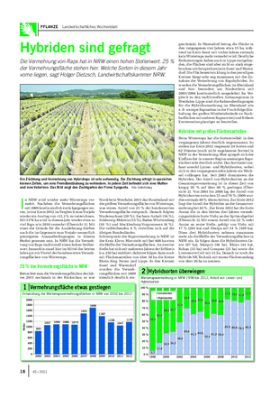 PFLANZE Landwirtschaftliches Wochenblatt Hybriden sind gefragt Die Vermehrung von Raps hat in NRW einen hohen Stellenwert.