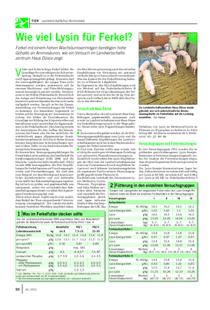 TIER Landwirtschaftliches Wochenblatt Wie viel Lysin für Ferkel?