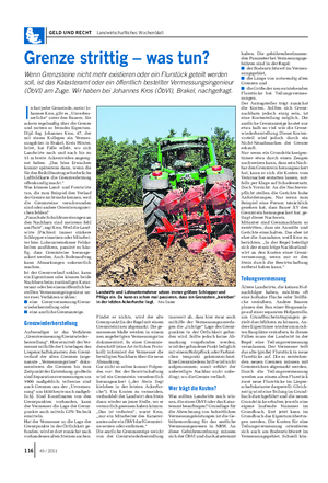 GELD UND RECHT Landwirtschaftliches Wochenblatt Grenze strittig – was tun?