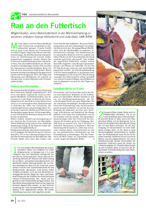 TIER Landwirtschaftliches Wochenblatt Ran an den Futtertisch Möglichkeiten, einen Betonfuttertisch in der Milchviehhaltung zu sanieren, erläutern Svenja Hohenbrink und Julia Glatz, LWK NRW.