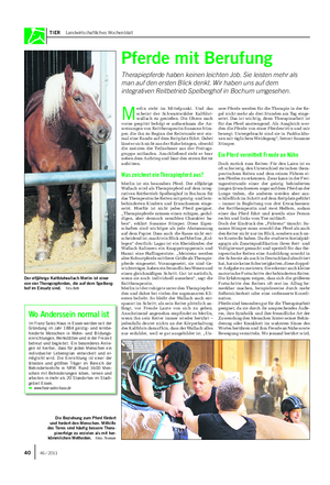 TIER Landwirtschaftliches Wochenblatt Pferde mit Berufung Therapiepferde haben keinen leichten Job.