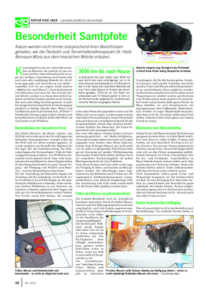 NATUR UND JAGD Landwirtschaftliches Wochenblatt Besonderheit Samtpfote Katzen werden nicht immer entsprechend ihren Bedürfnissen gehalten, wie die Tierärztin und Tierverhaltenstherapeutin Dr.