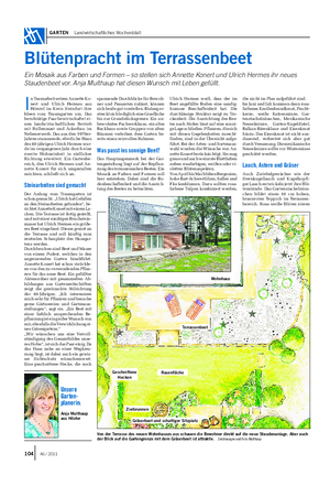GARTEN Landwirtschaftliches Wochenblatt Blütenpracht im Terrassenbeet Ein Mosaik aus Farben und Formen – so stellen sich Annette Konert und Ulrich Hermes ihr neues Staudenbeet vor.