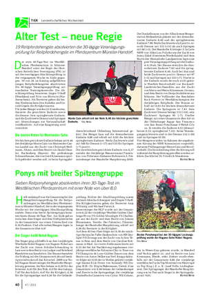 TIER Landwirtschaftliches Wochenblatt Alter Test – neue Regie 19 Reitpferdehengste absolvierten die 30-tägige Veranlagungs- prüfung für Reitpferdehengste im Pferdezentrum Münster-Handorf.