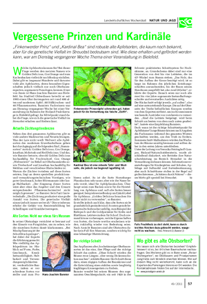 Landwirtschaftliches Wochenblatt NATUR UND JAGD Vergessene Prinzen und Kardinäle „Finkenwerder Prinz“ und „Kardinal Bea“ sind robuste alte Apfelsorten, die kaum noch bekannt, aber für die genetische Vielfalt im Streuobst bedeutsam sind.