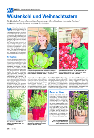 GARTEN Landwirtschaftliches Wochenblatt W er Manuel und Carolin Gro- ße Brintrup aus Buldern im Kreis Coesfeld nach ihren Lieblingspflanzen fragt, erntet zu- nächst Schweigen.