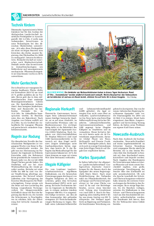NACHRICHTEN Landwirtschaftliches Wochenblatt BILD DER WOCHE: Die Verkäufer von Weihnachtsbäumen haben in diesen Tagen Hochsaison.