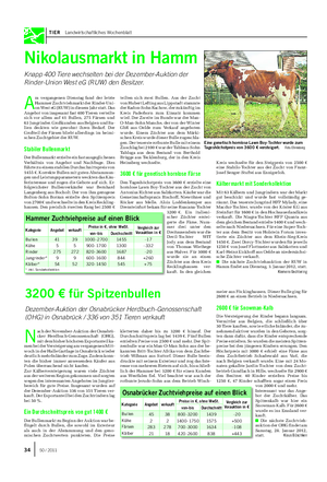 TIER Landwirtschaftliches Wochenblatt Nikolausmarkt in Hamm Knapp 400 Tiere wechselten bei der Dezember-Auktion der Rinder-Union West eG (RUW) den Besitzer.