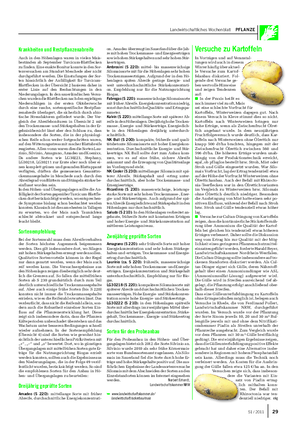 Landwirtschaftliches Wochenblatt PFLANZE Krankheiten und Restpflanzenabreife Auch in den Höhenlagen waren in vielen Mais- beständen ab September Turcicum-Blattflecken zu finden.