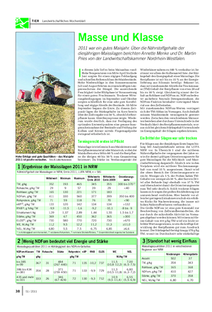 TIER Landwirtschaftliches Wochenblatt Masse und Klasse 2011 war ein gutes Maisjahr.