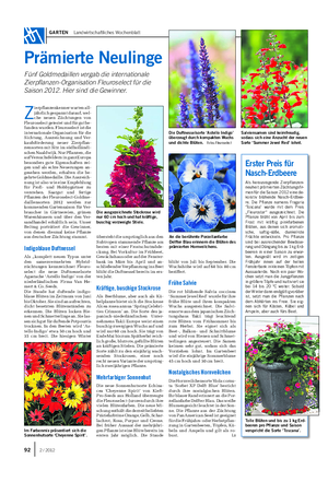 GARTEN Landwirtschaftliches Wochenblatt Prämierte Neulinge Fünf Goldmedaillen vergab die internationale Zierpflanzen-Organisation Fleuroselect für die Saison 2012.