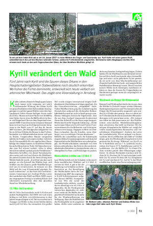 Landwirtschaftliches Wochenblatt WALDBAUER So wie auf dem linken Bild sah es am 18.