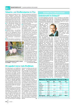 MARKTÜBERSICHT Landwirtschaftliches Wochenblatt 52 4 / 2012 Seit Ende vergangenen Jahres kann man beim Getreidemarkt deutliche Preisbewegungen nach unten und oben verzeichnen.