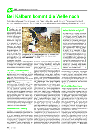 TIER Landwirtschaftliches Wochenblatt Bei Kälbern kommt die Welle noch Beim Schmallenberg-Virus sind noch viele Fragen offen.