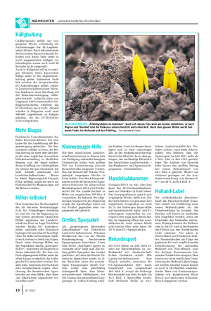 NACHRICHTEN Landwirtschaftliches Wochenblatt BILD DER WOCHE: „Frühlingsboten im Kommen“, lässt sich dieses Foto wohl am besten untertiteln.