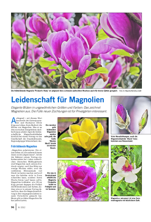 GARTEN Landwirtschaftliches Wochenblatt A ufregend – mit diesem Wort beschreibt der Gartenjourna- list und Buchautor Oliver Kipp aus Löhne, Kreis Herford, die Blüten von Magnolien.