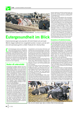TIER Landwirtschaftliches Wochenblatt E utererkrankungen sind von großer Bedeu- tung in der Milchproduktion.