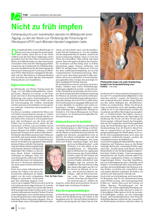 TIER Landwirtschaftliches Wochenblatt Nicht zu früh impfen Fohlenaufzucht und -krankheiten standen im Mittelpunkt einer Tagung, zu der der Verein zur Förderung der Forschung im Pferdesport (FFP) nach Münster-Handorf eingeladen hatte.