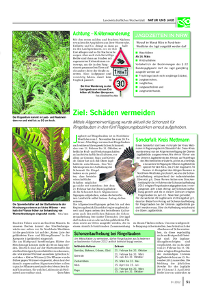 Landwirtschaftliches Wochenblatt NATUR UND JAGD Der Rippenfarn kommt in Laub- und Nadelwäl- dern vor und wird bis zu 50 cm hoch.