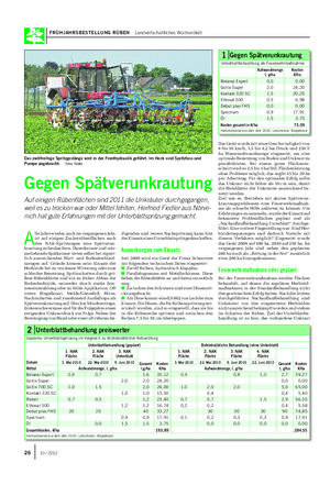 FRÜHJAHRSBESTELLUNG RÜBEN Landwirtschaftliches Wochenblatt A lle Jahre wieder, auch im vergangenen Jahr, ist auf einigen Zuckerrübenflächen nach den NAK-Spritzungen eine Spätverun- krautung zu beobachten.