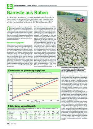  / 2012 Frühjahrsbestellung rüben Landwirtschaftliches Wochenblatt 2910 / 2012 gärreste aus rüben Zuckerrüben werden neben Mais als der ideale Rohstoff für den Einsatz in Biogasanlagen gehandelt.
