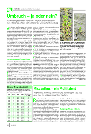 PFLANZE Landwirtschaftliches Wochenblatt Miscanthus – ein Multitalent Verbrennen, dämmen, einstreuen und Blumentöpfe – das alles kann man mit und aus Miscanthus machen.