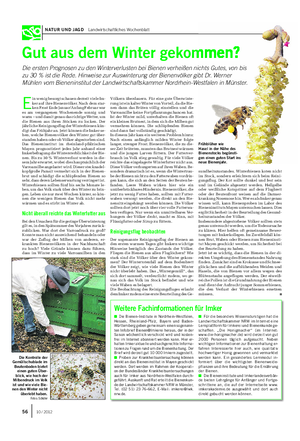NATUR UND JAGD Landwirtschaftliches Wochenblatt Frühblüher wie Hasel in der Nähe des Bienenstocks begünsti- gen einen guten Start ins neue Bienenjahr.
