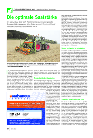 FRÜHJAHRSBESTELLUNG MAIS Landwirtschaftliches Wochenblatt Die optimale Saatstärke Im Maisanbau lässt sich Trockenstress durch eine gezielte Aussaatstärke begegnen.