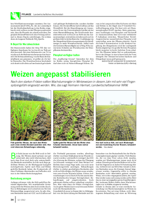 PFLANZE Landwirtschaftliches Wochenblatt hen Nitrifikationsvermögen umsetzen.