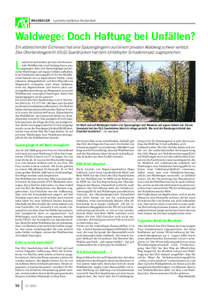 WALDBAUER Landwirtschaftliches Wochenblatt Waldwege: Doch Haftung bei Unfällen?