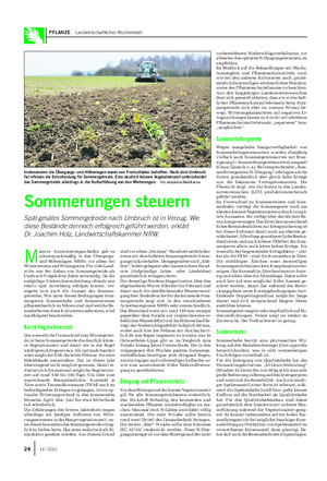 PFLANZE Landwirtschaftliches Wochenblatt M assive Auswinterungsschäden gab es schwerpunktmäßig in den Übergangs- und Höhenlagen NRWs vor allem bei Winterweizen und Wintergerste.