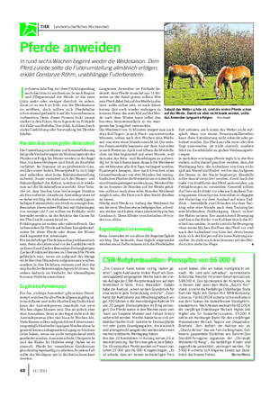 TIER Landwirtschaftliches Wochenblatt Pferde anweiden In rund sechs Wochen beginnt wieder die Weidesaison.