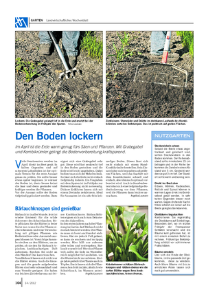 GARTEN Landwirtschaftliches Wochenblatt V iele Gemüsearten werden im April direkt ins Beet gesät.