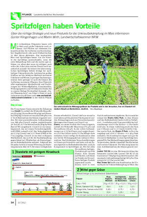 PFLANZE Landwirtschaftliches Wochenblatt Spritzfolgen haben Vorteile Über die richtige Strategie und neue Produkte für die Unkrautbekämpfung im Mais informieren Günter Klingenhagen und Martin Wirth, Landwirtschaftskammer NRW.