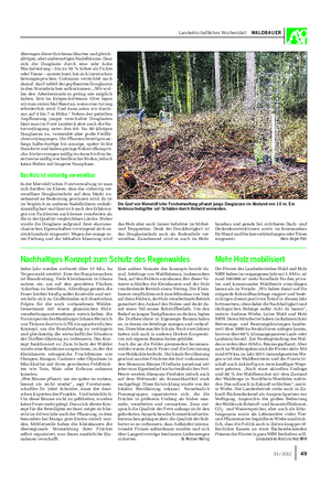 Landwirtschaftliches Wochenblatt WALDBAUER überragen diese ihre benachbarten und gleich- altrigen, aber andersartigen Nadelbäume.