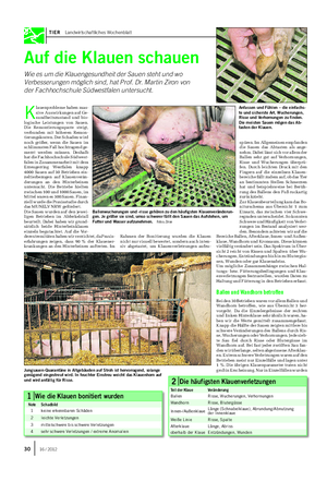 TIER Landwirtschaftliches Wochenblatt Auf die Klauen schauen Wie es um die Klauengesundheit der Sauen steht und wo Verbesserungen möglich sind, hat Prof.