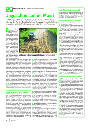 NATUR UND JAGD Landwirtschaftliches Wochenblatt Jagdschneisen im Mais?