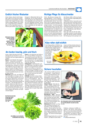 Landwirtschaftliches Wochenblatt HAUSHALT Grüne Salate frischen die Früh- jahrsküche auf.