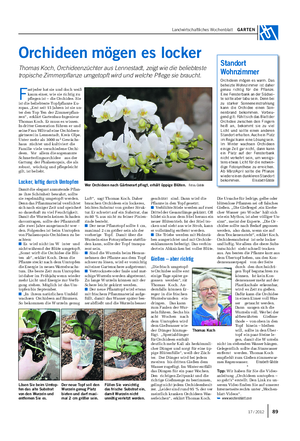 Landwirtschaftliches Wochenblatt GARTEN Orchideen mögen es locker Thomas Koch, Orchideenzüchter aus Lennestadt, zeigt wie die beliebteste tropische Zimmerpflanze umgetopft wird und welche Pflege sie braucht.