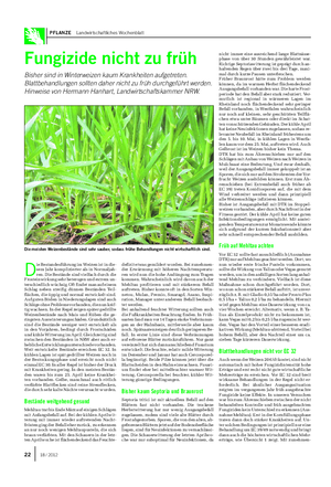 PFLANZE Landwirtschaftliches Wochenblatt Fungizide nicht zu früh Bisher sind in Winterweizen kaum Krankheiten aufgetreten.