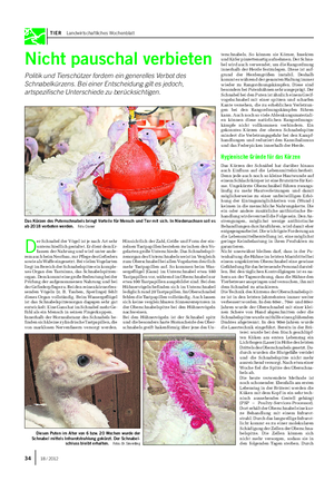 TIER Landwirtschaftliches Wochenblatt Nicht pauschal verbieten Politik und Tierschützer fordern ein generelles Verbot des Schnabelkürzens.