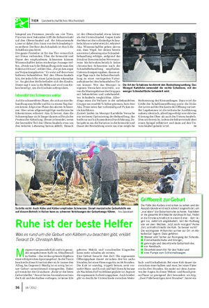TIER Landwirtschaftliches Wochenblatt hängend am Prozessor, jeweils um vier Tiere.