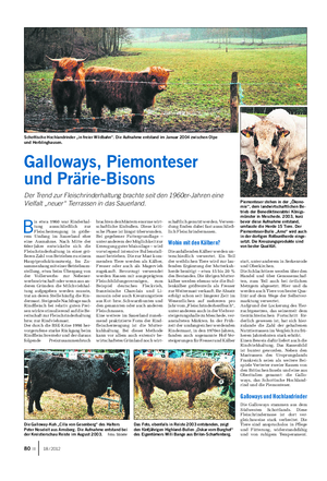 GESTERN UND HEUTE Landwirtschaftliches Wochenblatt B is etwa 1960 war Rinderhal- tung ausschließlich zur Fleischerzeugung in größe- rem Umfang im Sauerland eher eine Ausnahme.
