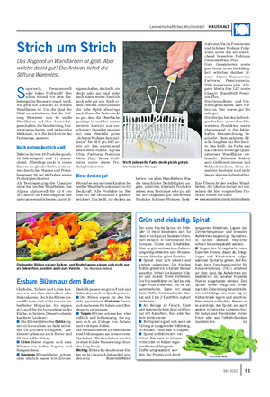 Landwirtschaftliches Wochenblatt HAUSHALT Strich um Strich Das Angebot an Wandfarben ist groß.