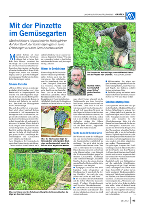 Landwirtschaftliches Wochenblatt GARTEN Mit der Pinzette im Gemüsegarten Manfred Kotters ist passionierter Hobbygärtner.