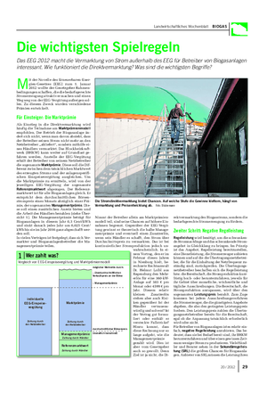 Landwirtschaftliches Wochenblatt BIOGAS Die wichtigsten Spielregeln Das EEG 2012 macht die Vermarktung von Strom außerhalb des EEG für Betreiber von Biogasanlagen interessant.