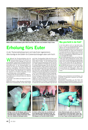 TIER Landwirtschaftliches Wochenblatt W ährend der Trockenstehphase gibt die Kuh zwar keine Milch.