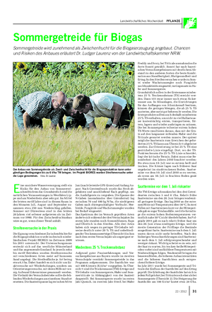 Landwirtschaftliches Wochenblatt PFLANZE Sommergetreide für Biogas Sommergetreide wird zunehmend als Zwischenfrucht für die Biogaserzeugung angebaut.