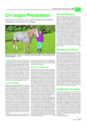 Landwirtschaftliches Wochenblatt TIER Ein langes Pferdeleben Pferde können alt werden.